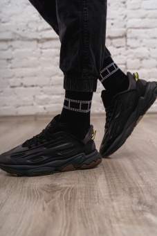 KUZ03041